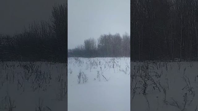 21 января - Емелин день😊 Что нужно знать☝