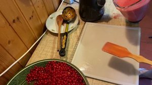Пастила из ягод
