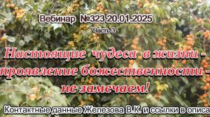 Железов Валерий. Вебинар 323. ч.3. Настоящие  чудеса  в жизни- проявление божественности - не замеча