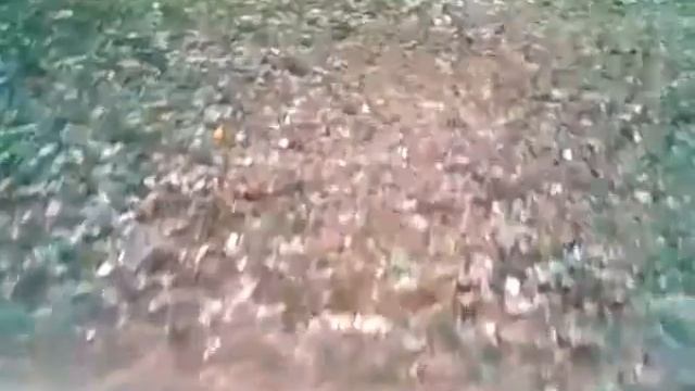 Полет на квадрике смотреть онлайн