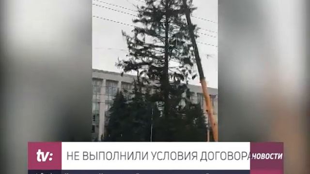 НЕ ВЫПОЛНИЛИ УСЛОВИЯ ДОГОВОРА Компания из Украины вернёт деньги за испорченную ёлку смотреть онлайн