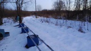 Такого я ещё не видел!!! Неоднозначная зима и зимовка!