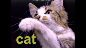 Closing to Baby Einstein: Language Nursery 2003 VHS