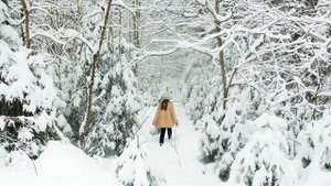 6466839-uhd_3840_2160_30fps