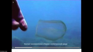 КЭФ-2023 // Выступление Ушивцев В.Б.