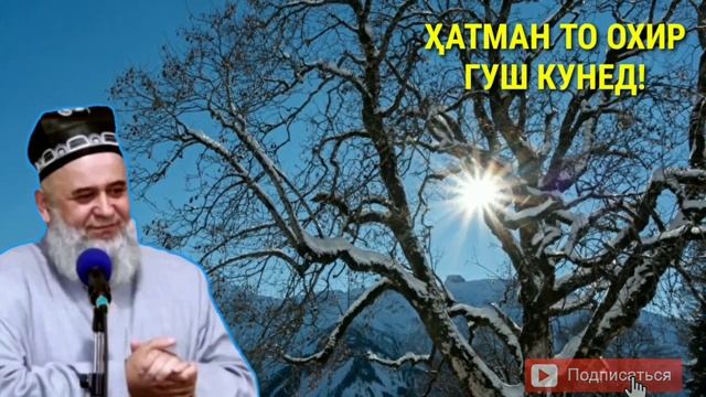 ХОЧИ МИРЗО ОШИКОН смотреть онлайн