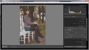Видеоуроки Adobe Photoshop Lightroom Урок-11 Пример. Тонирование. Видеоуроки Lightroom.