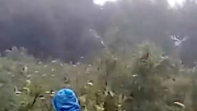 Спускаемся с горы Кавказа к реке Санчаро 17 июля 2020г