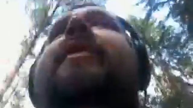 Наши успехи: Миха Изотов начал бегать ч.1 смотреть онлайн