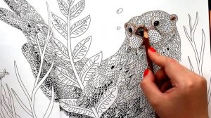 НЕТРОНУТАЯ КРАСОТА ВОКРУГ СВЕТА НА ВЕЛОСИПЕДЕ  РАСКРАСКА АНТИСТРЕСС ОБЗОР РАСКРАШИВАНИЕ