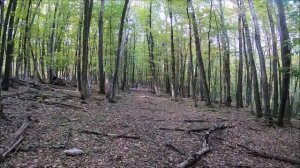 Храм Камбоджи - Стол-Гора. Крым.