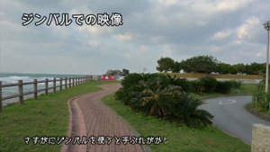 FeiyuTech SCORP-CをNikon Z30で試してみた!