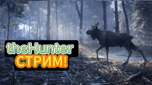 theHunter СТРИМ! ОХОТИМСЯ В ЛЕСУ!