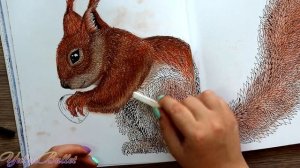 НЕТРОНУТАЯ КРАСОТА РАСКРАСКА АНТИСТРЕСС РАСКРАШИВАНИЕ РИСУЕМ СУХОЙ ПАСТЕЛЬЮ