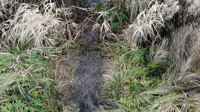 Уусимаа,Финляндия.Ручей имеет форму остроконечных лучей. смотреть онлайн