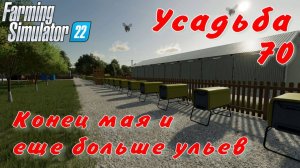 Усадьба 70 часть. Конец мая и ещё больше ульев.