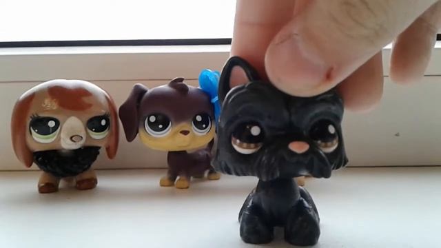 LPS которых я поменял с каналом Мисс котик LPS смотреть онлайн