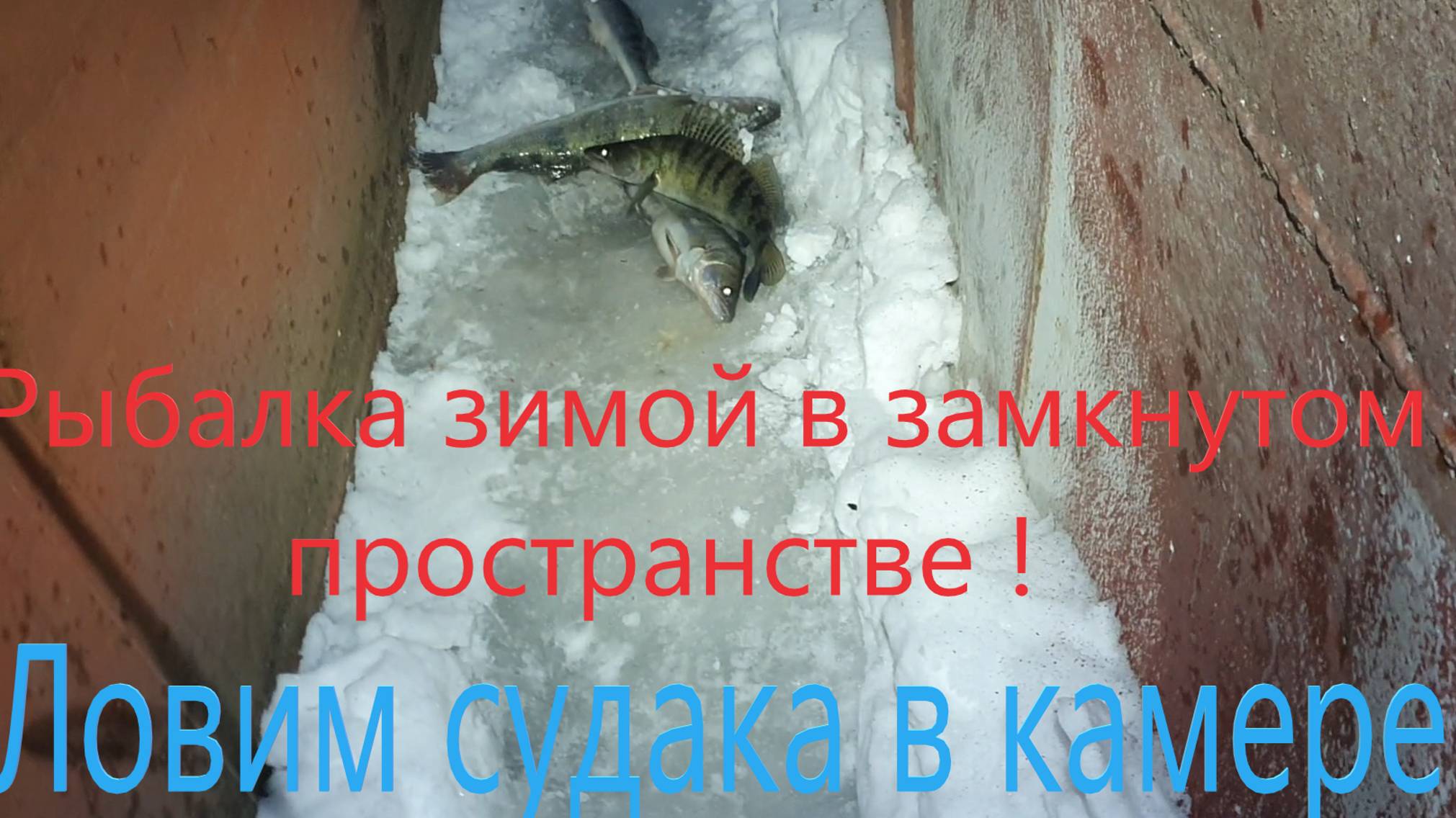 Рыбалка зимой в кунц камере! смотреть онлайн