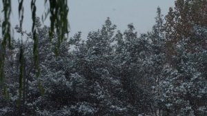 6415315-hd_1920_1080_25fps