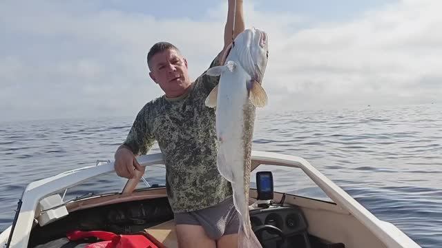 Первая в жизни треска во Владивостоке!