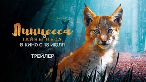 Линцесса. Тайны леса - Lincessa. Los silencios del bosque