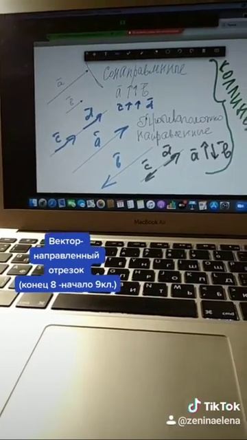 Коллинеарные вектора