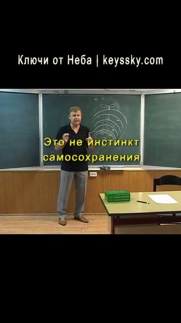 Страх и инстинкт самосохранения – это разные вещи