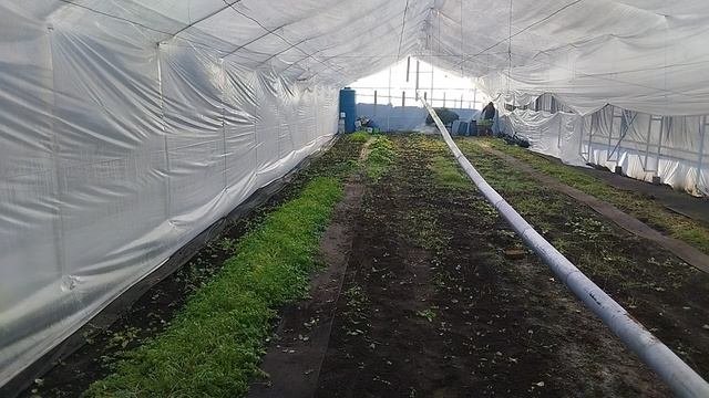 Работа в теплице.
