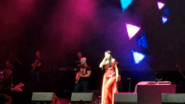 Света Амиго