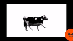 Польская корова в 2 раза медленнее