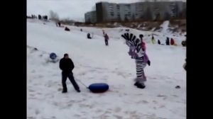 Зебра Марти,Лев Алекс и Лунтик размотали пьяного