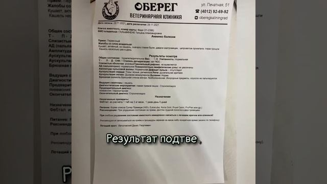 Любовь с первого прикосновения смотреть онлайн
