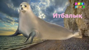 Жануарлар дауысы, жануарлар қалай сөйлейді