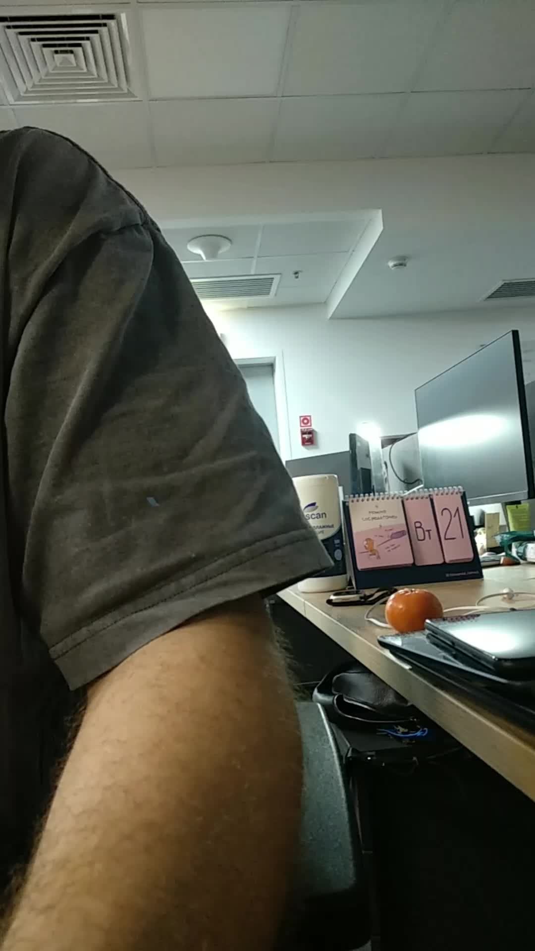 vert смотреть онлайн