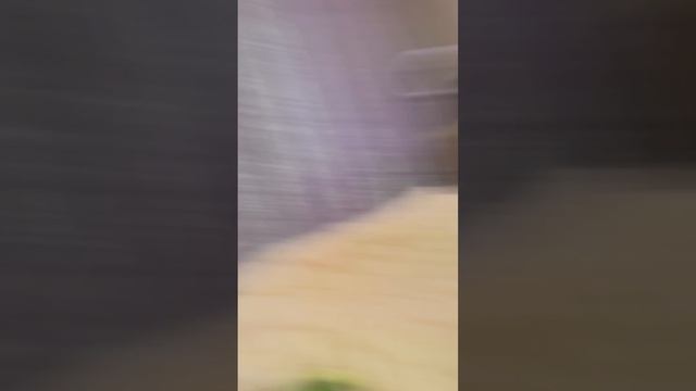 Приколы с Аришей