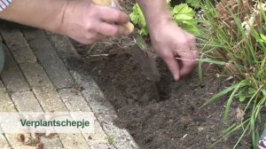 Tuinprofessor - Handgereedschap en bollenplanter