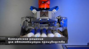 УРАЛТЕХМАРКЕТ. Робот упаковщик яиц