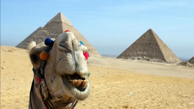 80 ТЫСЯЧ РОССИЙСКИХ ТУРИСТОВ ЖДУТ ВОЗВРАЩЕНИЯ ДОМОЙ смотреть онлайн