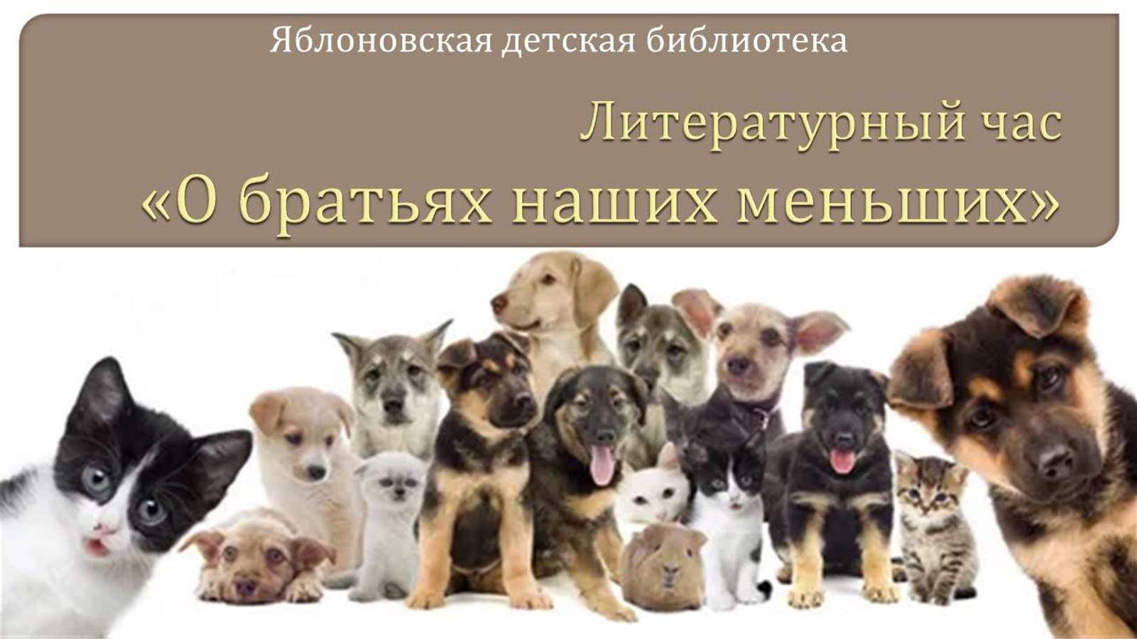 Хорошего дня картинки с животными