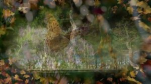 Параллельно