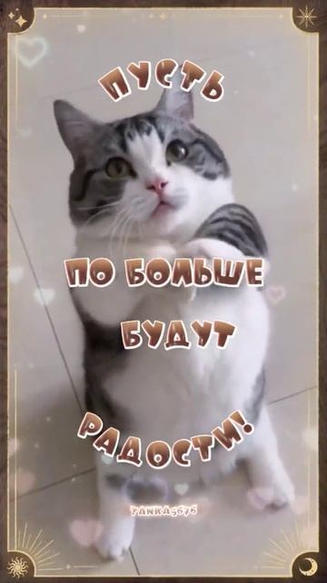 видеооткрытка_хорошего_настроения.mp4