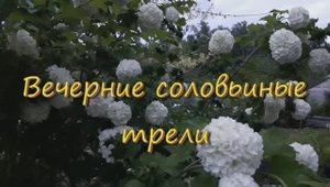 Бульденеж