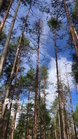 Лучшая земля под глэмпинг