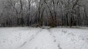 6107512-uhd_2562_1440_30fps