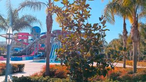 Royal Seginus Hotel Lara Antalya Турция обзор отеля Роял Сегинус Лара песчаный пляж все включено