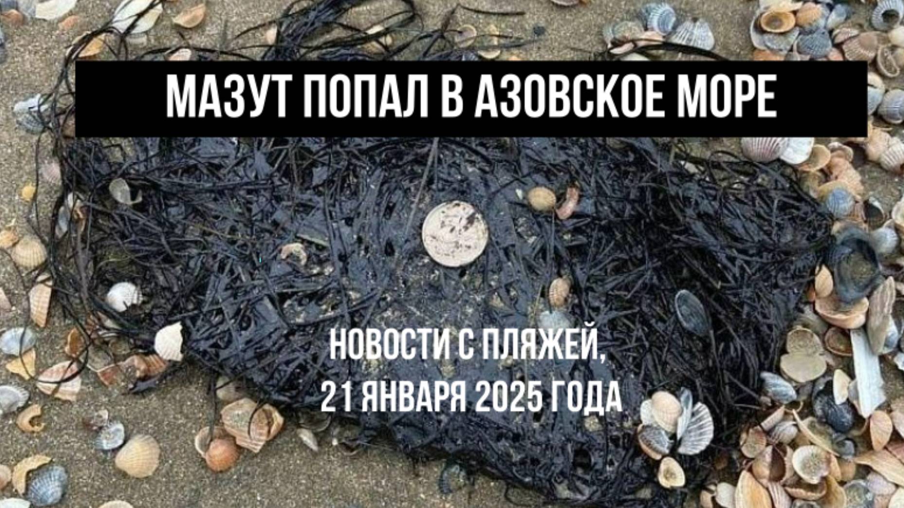 Мазут попал в Азовское море, новости с пляжей, 21 января 2025 года