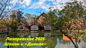 Шпион на озере "Дивном" ,Лазаревское 2025.