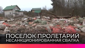 Организаторов незаконной свалки в Новгородском районе привлекут к ответственности