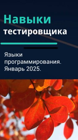 Навыки тестировщика. Языки программирования для тестировщика. Январь 2025.
