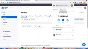 How to set up BNB Smart chain network on Metamask